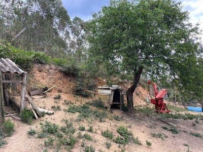 Terreno, 48 hectares - Foto 4