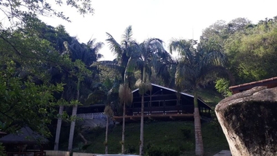 Chácara, 12 quartos, 3 hectares - Foto 3