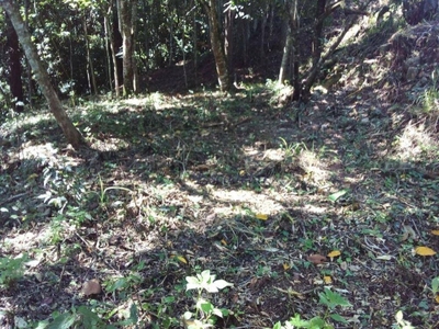 Terreno, 1789 m² - Foto 2