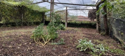 Chácara, 5 quartos, 2942 m² - Foto 4