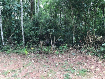 Loteamento e Condomínio, 1350 m² - Foto 4