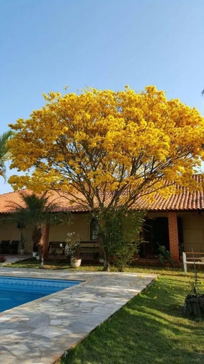 Chácara, 4 quartos, 5000 m² - Foto 2