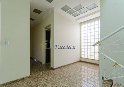 Casa, 4 quartos, 830 m² - Foto 3