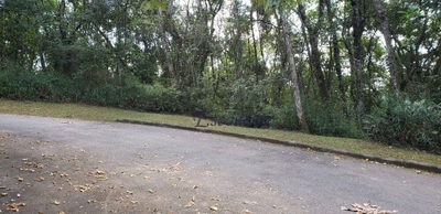 Loteamento e Condomínio, 2088 m² - Foto 1