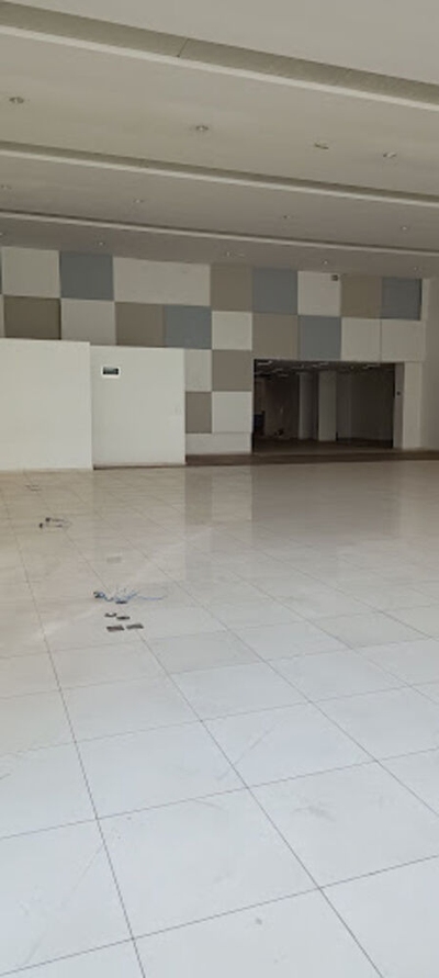 Depósito-Galpão, 5300 m² - Foto 4
