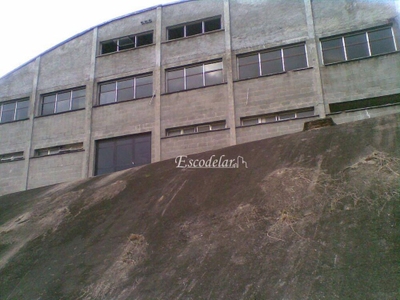 Depósito-Galpão, 1000 m² - Foto 4