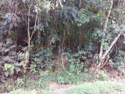 Terreno, 919 m² - Foto 3