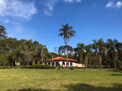 Sítio, 6 quartos, 29 hectares - Foto 4