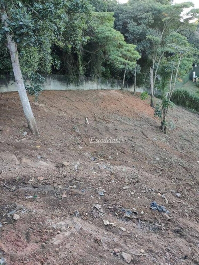 Terreno, 250 m² - Foto 3
