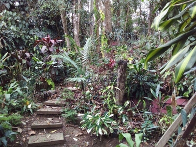 Terreno, 919 m² - Foto 2