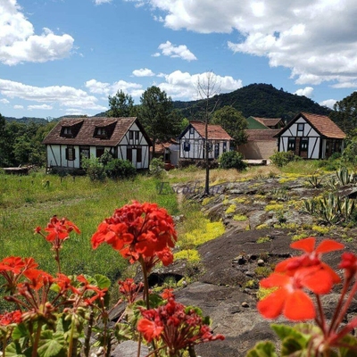 Terreno, 10000 m² - Foto 2