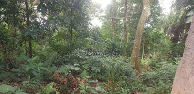 Terreno, 1383 m² - Foto 5