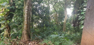 Terreno, 1383 m² - Foto 2