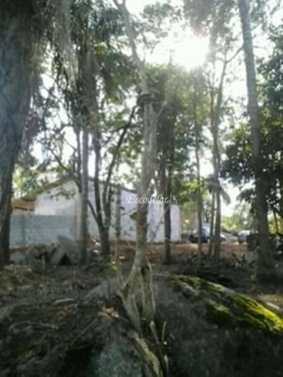 Terreno, 1200 m² - Foto 3