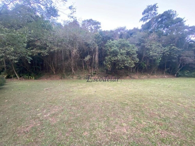 Terreno, 1646 m² - Foto 3