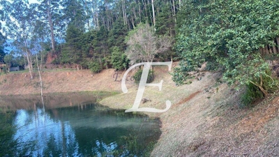 Terreno, 29 hectares - Foto 4