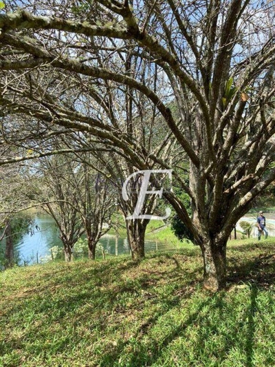 Terreno, 29 hectares - Foto 3