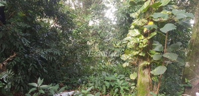 Terreno, 1 hectares - Foto 5