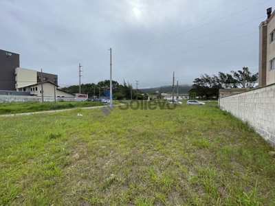 Terreno, 577 m² - Foto 2