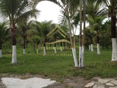 Sítio, 2 quartos, 10150 m² - Foto 1