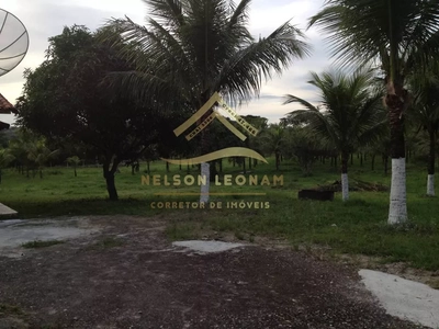 Sítio, 2 quartos, 10150 m² - Foto 2