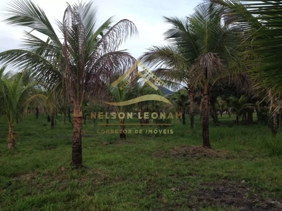 Sítio, 2 quartos, 10150 m² - Foto 5