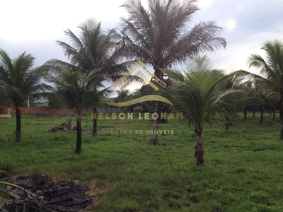 Sítio, 2 quartos, 10150 m² - Foto 3