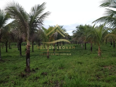 Sítio, 2 quartos, 10150 m² - Foto 4