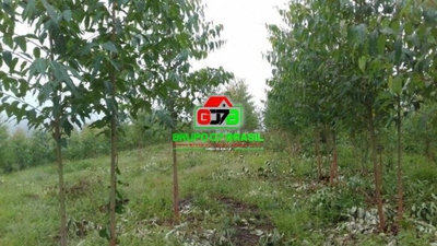 Terreno, 3 m² - Foto 4