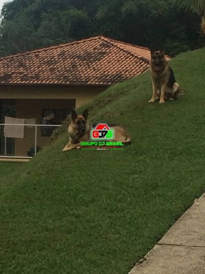 Chácara, 2 quartos, 6000 m² - Foto 4