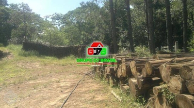 Terreno, 87 hectares - Foto 1