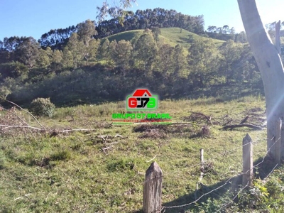 Terreno, 3 hectares - Foto 3