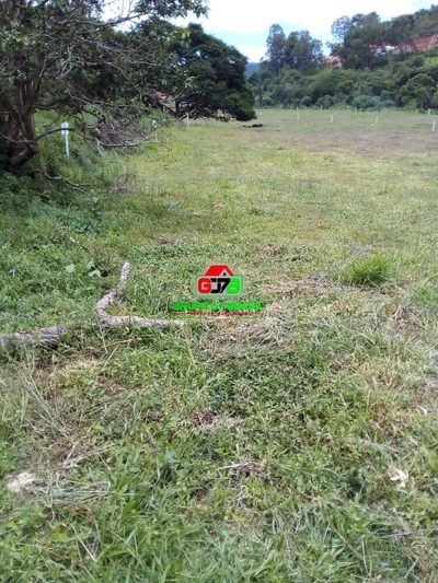 Terreno, 2000 m² - Foto 4