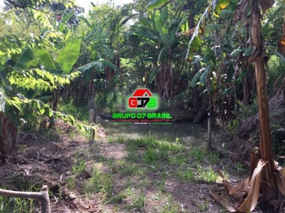 Chácara, 3 quartos, 5000 m² - Foto 4