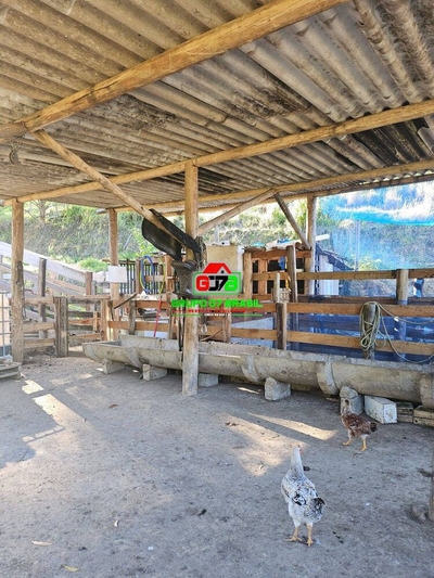 Sítio, 3 quartos, 200 m² - Foto 2