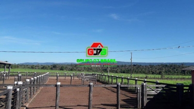 Terreno, 1200 m² - Foto 1