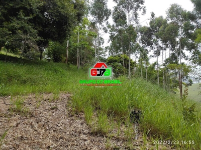 Terreno, 2 hectares - Foto 3