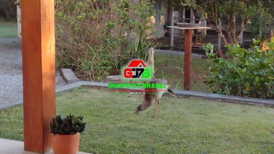 Chácara, 5 quartos, 6160 m² - Foto 2