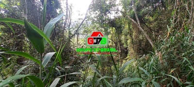 Terreno, 3 hectares - Foto 3