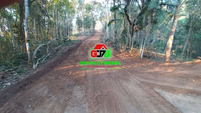 Terreno, 2 hectares - Foto 1