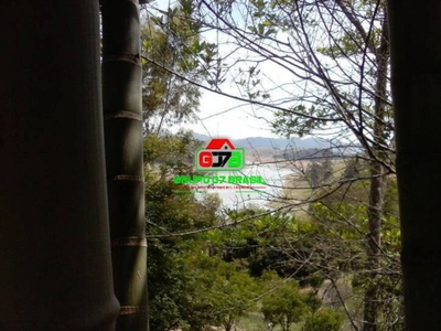 Terreno, 3 hectares - Foto 4