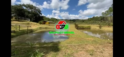 Fazenda-Sítio-Chácara, 2000 m² - Foto 2