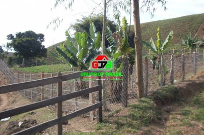 Sítio, 3 quartos, 61 hectares - Foto 3