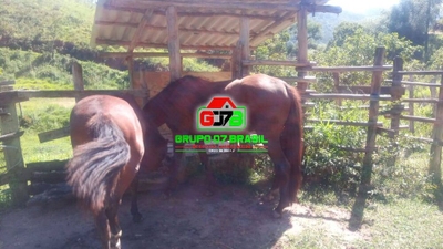 Terreno, 33 m² - Foto 3