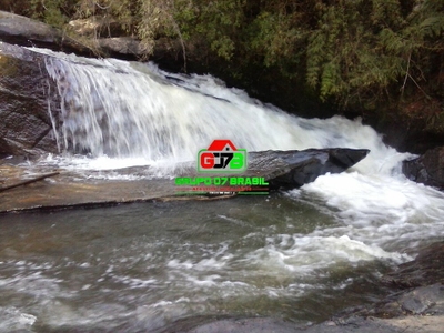 Prédio Inteiro, 10000 m² - Foto 5