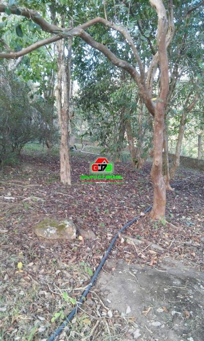 Chácara, 3 quartos, 3000 m² - Foto 4