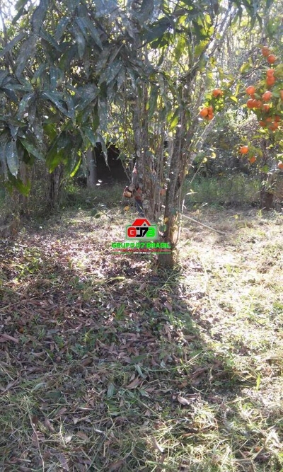 Chácara, 3 quartos, 3000 m² - Foto 2