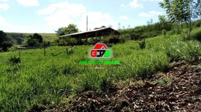 Chácara, 3 quartos, 5000 m² - Foto 4