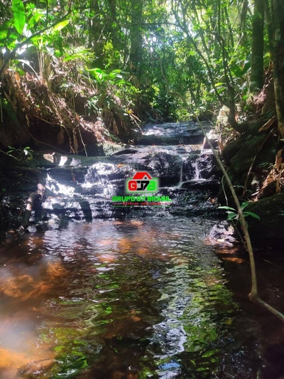 Terreno, 2 hectares - Foto 1