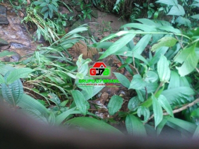 Terreno, 5000 m² - Foto 3